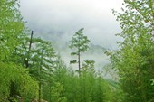 07_29 (4)